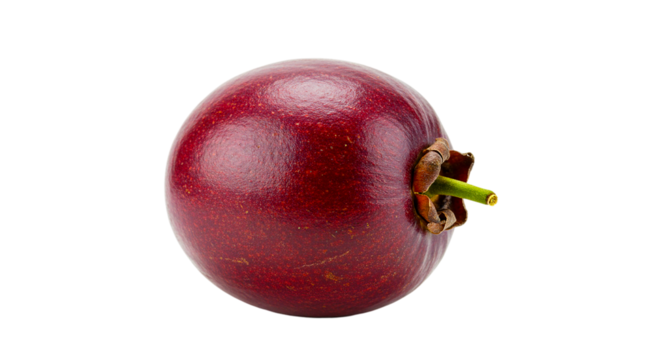 Close up shot of a single java apple fruit with a stem on a black background in studio lighting