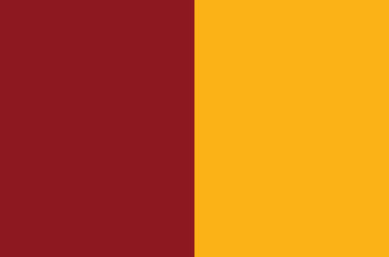 City of Rome flag. National pride flag of Rome, Italy, Vector illustration.