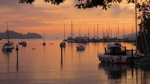 Sunrise over Sidney Marina: Tranquil Boats and Golden Reflections