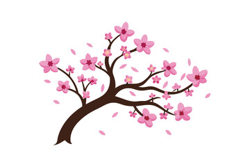pink cherry blossom