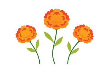 Obraz premium bouquet of orange flowers