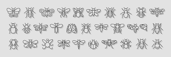 Vector illustration of insect and bug icons in line art style, featuring butterflies, bees, dragonflies, and ants