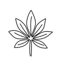 Holistic medicine Line Icons herbal tea natural remedies 