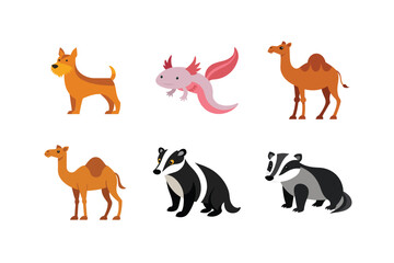 Obraz premium vector set 6 different of animals