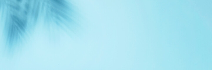 Blue background with palm shadows.
