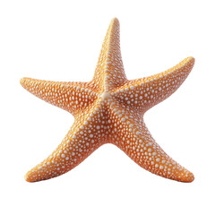 3D render of a starfish in a minimalist style, transparent background, png format.