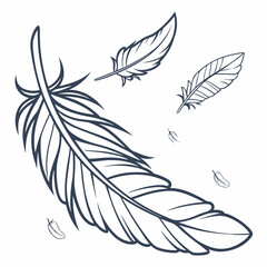 feather vector illustration