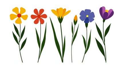 Colorful collection of bouquet flowers with distinct shapes and vibrant hues displayed on a plain background