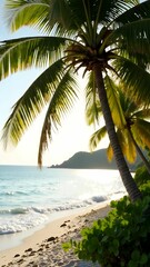 Fototapeta premium Serene beach view at sunset with palm trees and gentle waves lapping against the shore