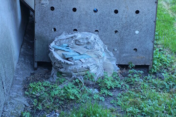 one white plastic bag with garbage stands in green grass near a gray wooden wall on the street