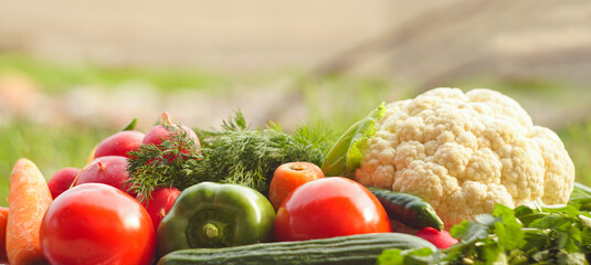 Tomatoes, cucumbers, greens, and other vegetables grow on the lawns.