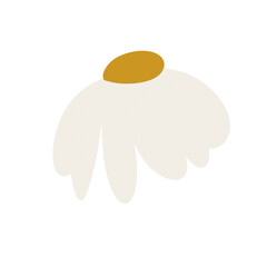 Daisy flower abstract shape floral png art