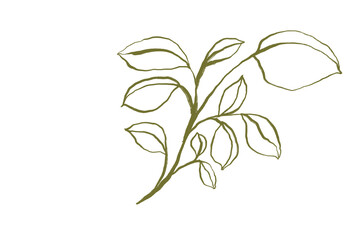 vector illustration of a plant