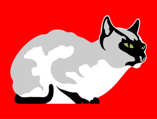 Siamese cat. Black and white illustration on a red background