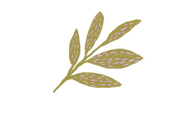 green leaves isolated on white background botanical scribbles hand painted png for download 