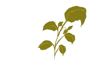 Beautiful hand painted green leaves botanical art png for download 