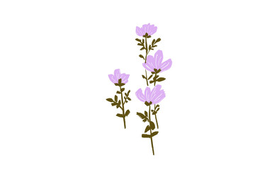 Lavender hand painted floral art png for download 