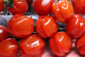 A vibrant cluster of ripe red tomatoes is tightly packed together, displaying their shiny, smooth skin and rich color. The unique, slightly ribbed shape of these tomatoes adds texture