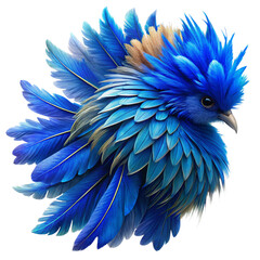 Obraz premium Fancy Vibrant Blue Feathers Bird Display in Transparent Background