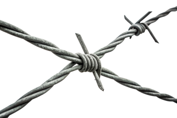 Barbed wire close up on transparent background for design use