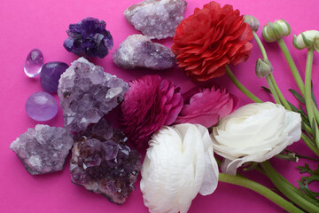 Beautiful amethyst crystal druse with ranunculus flowers on fuchsia background