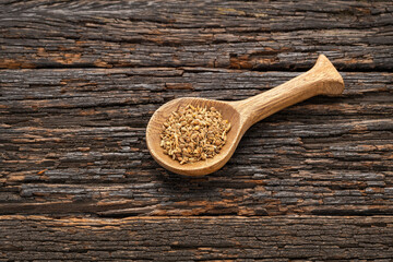 Dried organic fennel seeds in the spoon - Foeniculum vulgare
