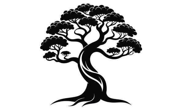 arbutus strawberry tree silhouette