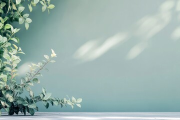 Green Leaves and Wall with Sunlight Creating a Fresh Interior Scene