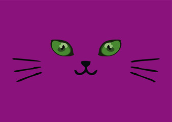 Gato simpático e feliz com seus olhos verdes