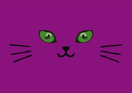 Gato simp&aacute;tico e feliz com seus olhos verdes
