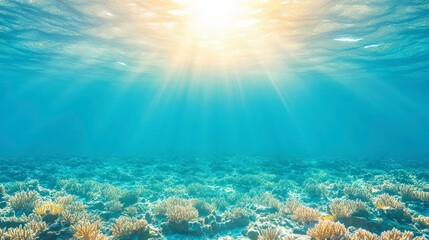 Fototapeta premium Underwater scene showcasing coral reefs illuminated by sunlight filtering through the water surface.
