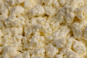 lumps of freshly made fermented milk product cottage cheese,