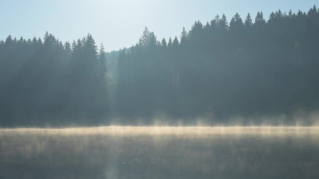 See, Wald, Nadelwald, Sonnenaufgang, Fr&uuml;hling, Windgf&auml;llweiher, Lenzkirch, Schwarzwald, Baden-W&uuml;rttemberg, Deutschland, Europa