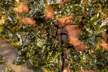 natural green algae that are used to prepare Japanese dishes