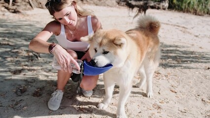 Thirsty dog drinking water from the plastic bottle in owner hands