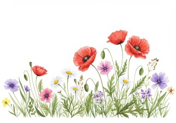 Obraz premium Colorful wildflowers watercolor painting botanical isolated white background