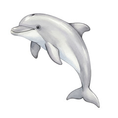 Fototapeta premium dolphin jumping isolated on white