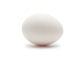 White egg single isolated clean isolated white background