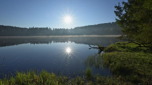 See, Sonnenaufgang, Nebel, Fr&uuml;hling, Windgf&auml;llweiher, Lenzkirch, Schwarzwald, Baden-W&uuml;rttemberg, Deutschland, Europa