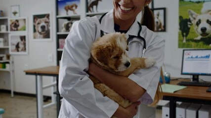 Veterinarian joyfully caring for puppy in bright veterinary clinic setting
