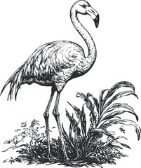 Fototapeta premium Detailed black and white illustration of a flamingo standing amidst tropical foliage.