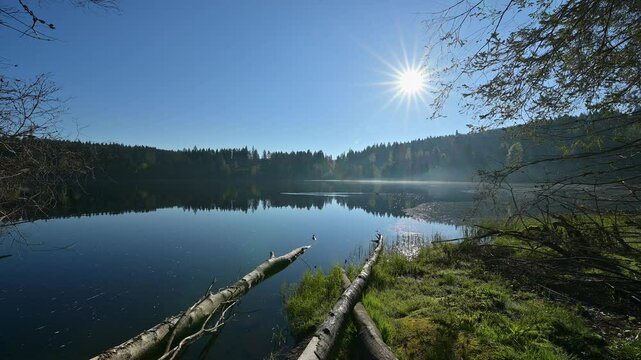 See, Sonnenaufgang, Nebel, Fr&uuml;hling, Windgf&auml;llweiher, Lenzkirch, Schwarzwald, Baden-W&uuml;rttemberg, Deutschland, Europa