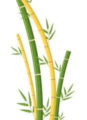 Fototapeta premium Bamboo green and yellow decoration zen nature illustration