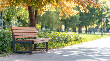 Fototapeta premium Serene autumn afternoon with empty park bench beneath golden leaves