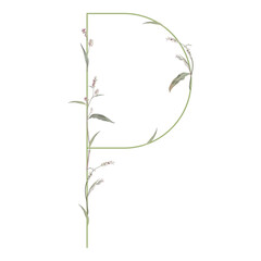 Capital letter P with floral motifs. Botanical alphabet with herbs and wildflowers. Blooming green branches of Polygonum plant. Knotweed or Smartweed flower. Isolated vector illustration.