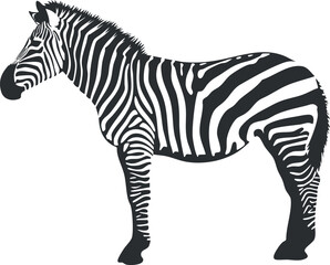 Black and white zebra illustration highlighting its distinctive striped pattern in profile view.