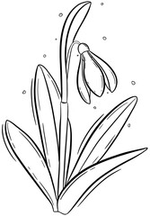 Elegant Line Art Illustration of a Single Snowdrop Flower with Graceful Drooping Bloom and Slender Leaves, Perfect for Botanical Coloring Pages, Spring-Themed Designs, and Minimalist Art