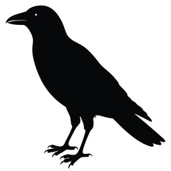 Fototapeta premium crow black silhouette vector art illustration
