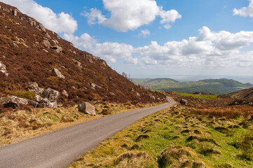 A road winds through a grassy field with a view of mountains in the distance