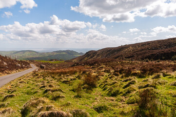 A road winds through a grassy field with a cloudy sky overhead